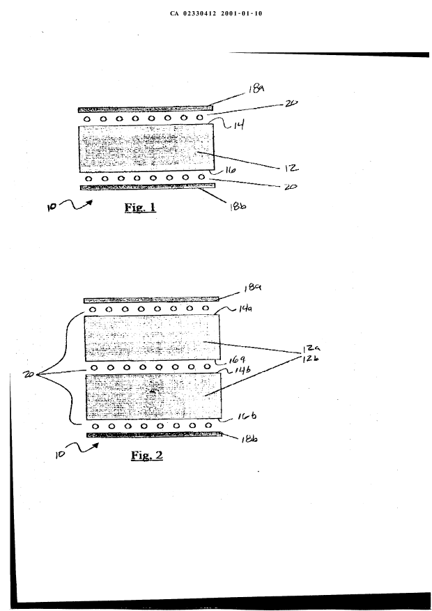 Canadian Patent Document 2330412. Drawings 20010110. Image 1 of 4