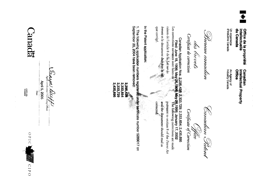Document de brevet canadien 2333729. Poursuite-Amendment 20041205. Image 2 de 2