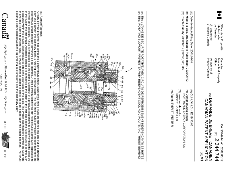 Document de brevet canadien 2344744. Page couverture 20020607. Image 1 de 1