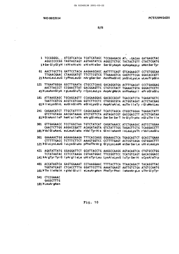Document de brevet canadien 2345138. Dessins 20010322. Image 8 de 8