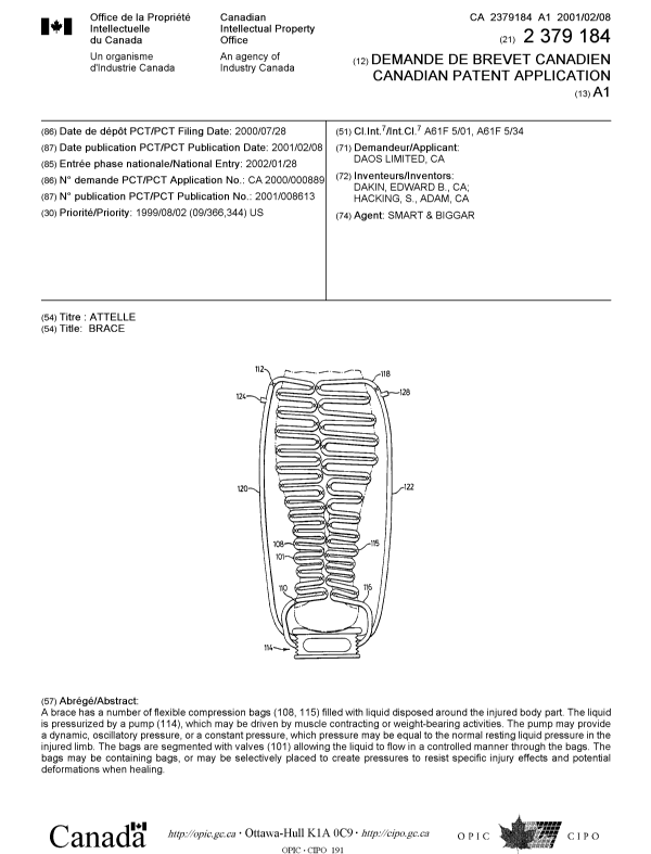 Document de brevet canadien 2379184. Page couverture 20020724. Image 1 de 1