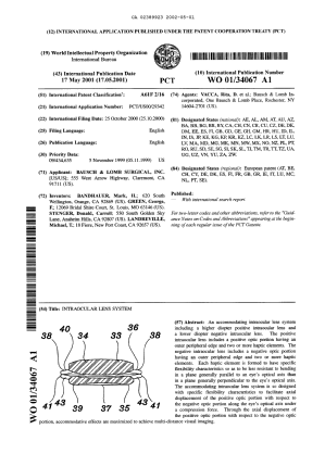 Document de brevet canadien 2389923. Abrégé 20020501. Image 1 de 1
