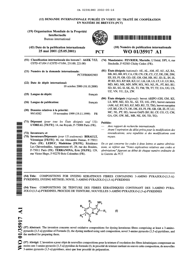 Document de brevet canadien 2391980. Abrégé 20020516. Image 1 de 1