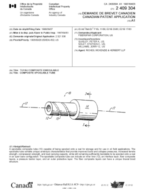Document de brevet canadien 2409304. Page couverture 20030206. Image 1 de 1