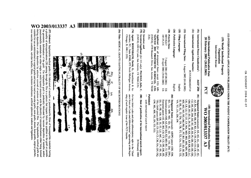 Document de brevet canadien 2456697. Abrégé 20040207. Image 1 de 1