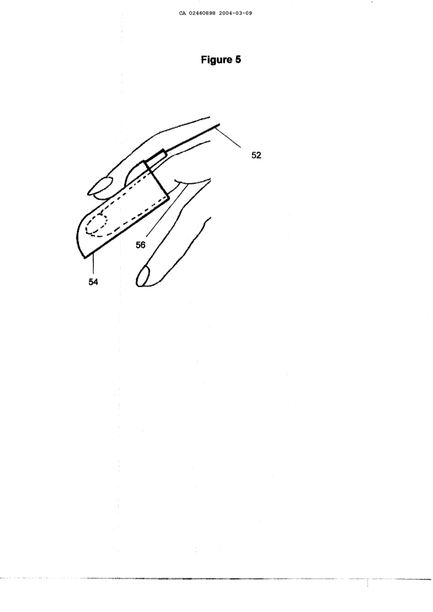 Canadian Patent Document 2460898. Drawings 20040309. Image 10 of 10