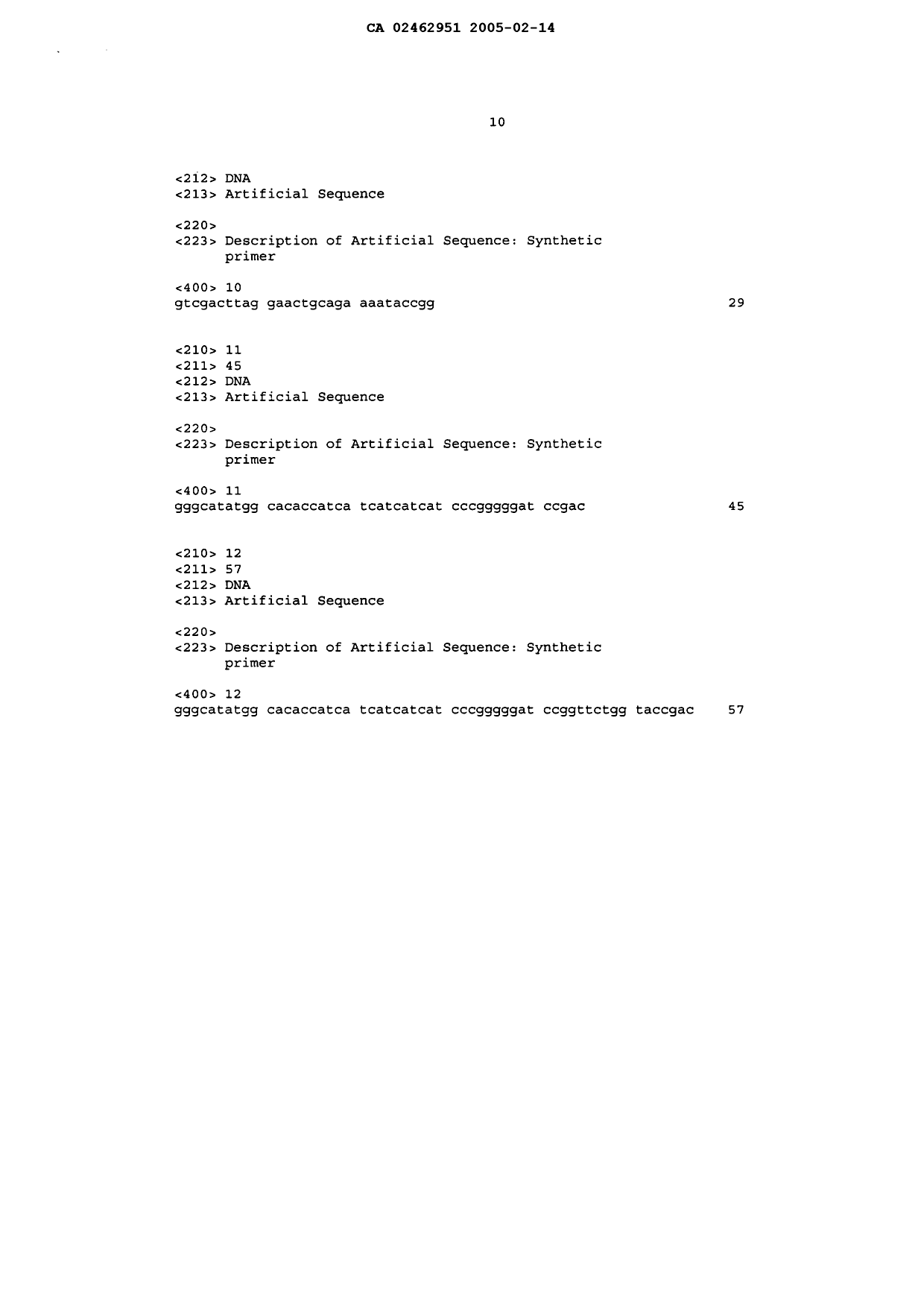 Document de brevet canadien 2462951. Poursuite-Amendment 20041214. Image 11 de 11
