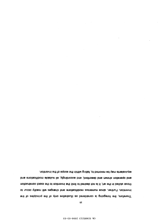 Canadian Patent Document 2485213. Description 20051203. Image 10 of 10