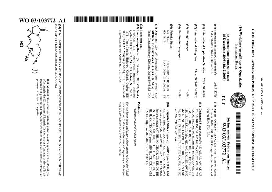 Document de brevet canadien 2488001. Abrégé 20041201. Image 1 de 1