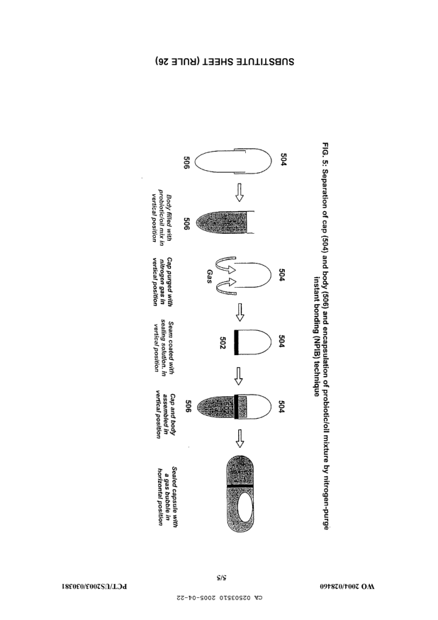 Canadian Patent Document 2503510. Drawings 20041222. Image 5 of 5