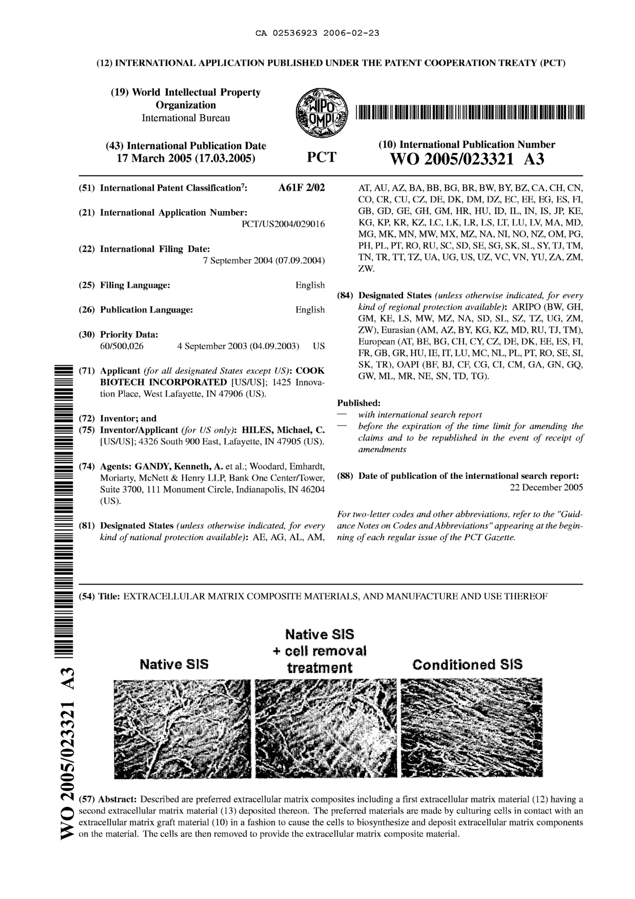 Document de brevet canadien 2536923. Abrégé 20060223. Image 1 de 1