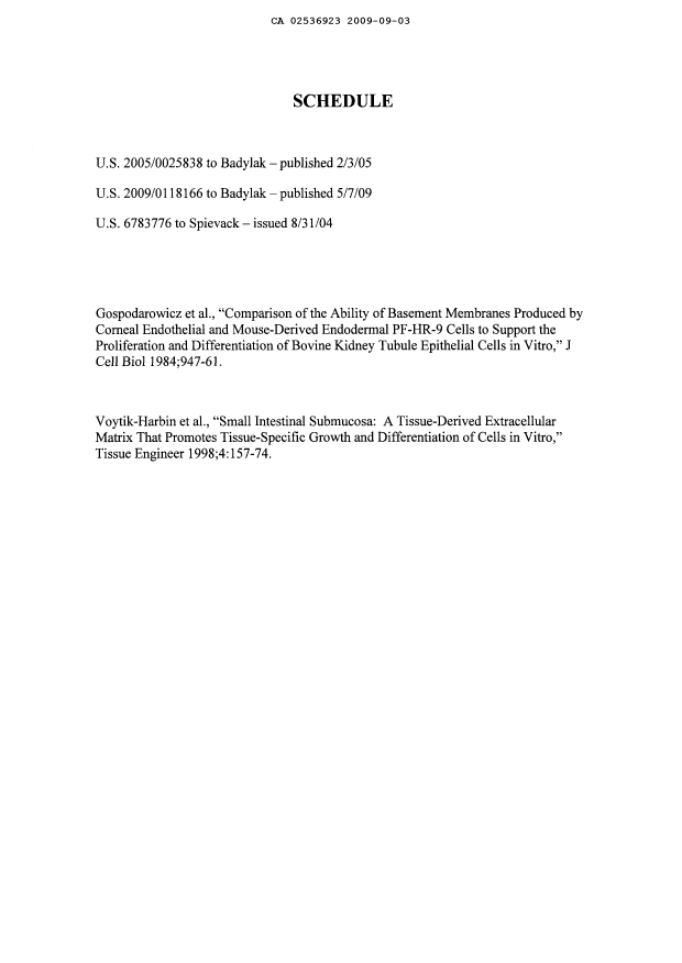 Document de brevet canadien 2536923. Poursuite-Amendment 20090903. Image 2 de 2