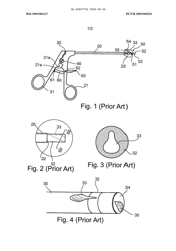 Canadian Patent Document 2557732. Drawings 20060829. Image 1 of 2