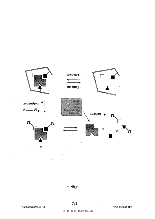 Document de brevet canadien 2568911. Dessins 20061127. Image 1 de 2