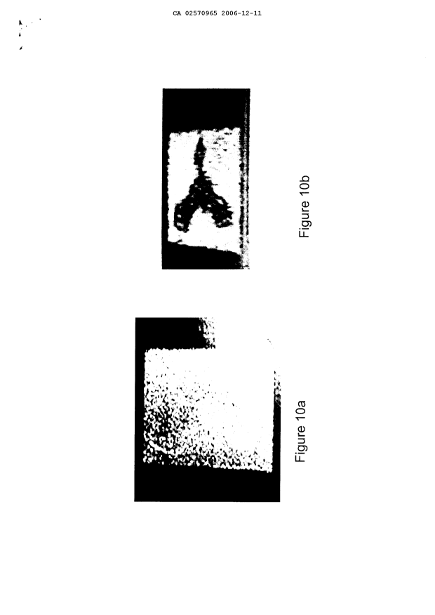 Document de brevet canadien 2570965. Dessins 20061211. Image 11 de 11