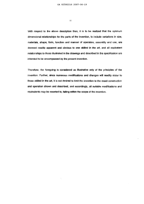 Canadian Patent Document 2592216. Description 20061219. Image 11 of 11