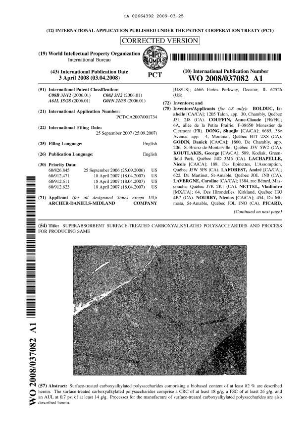 Document de brevet canadien 2664392. Abrégé 20090325. Image 1 de 2