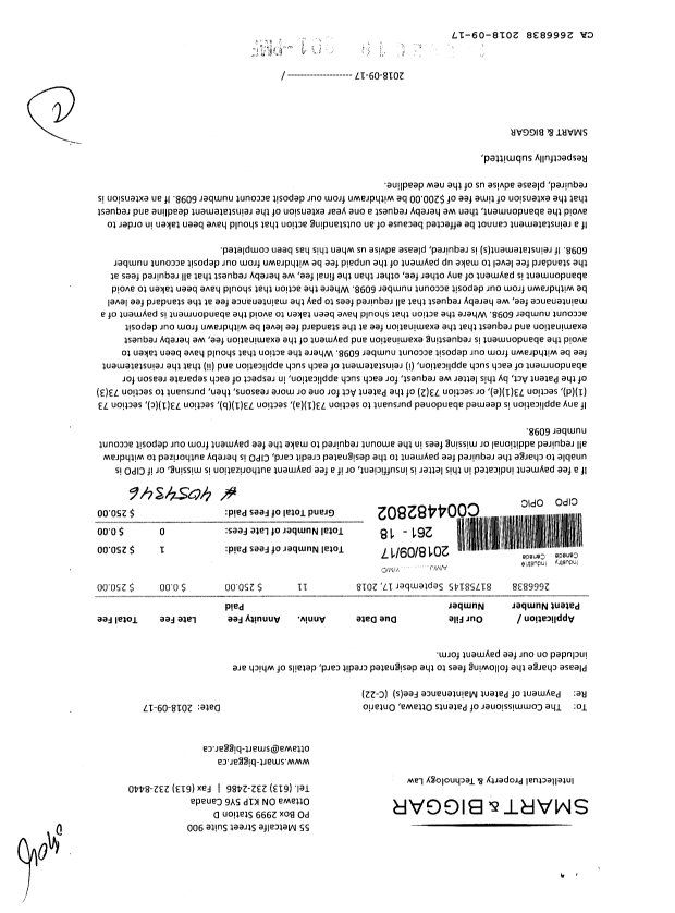 Canadian Patent Document 2666838. Maintenance Fee Payment 20180917. Image 1 of 1