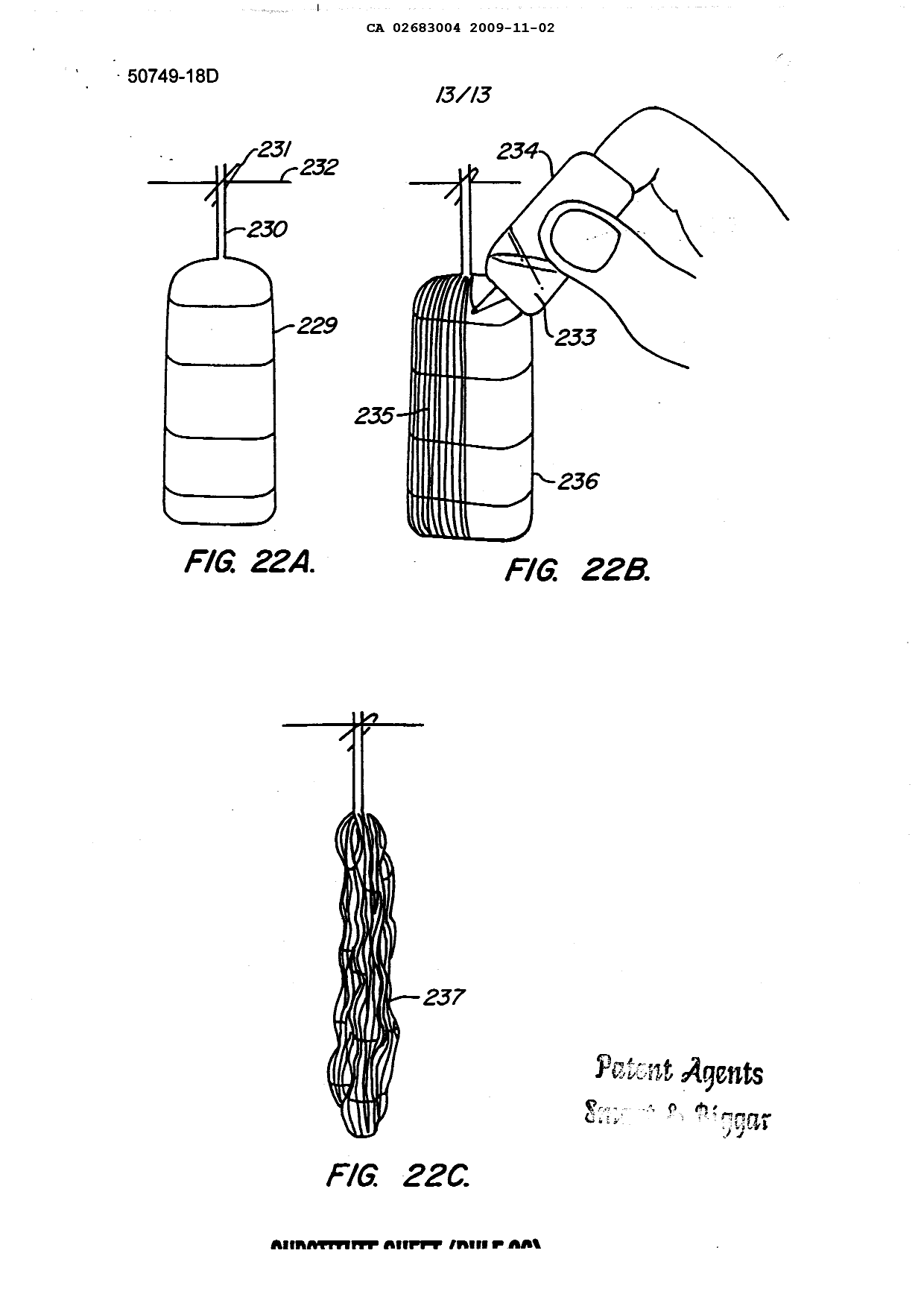 Canadian Patent Document 2683004. Drawings 20091102. Image 13 of 13