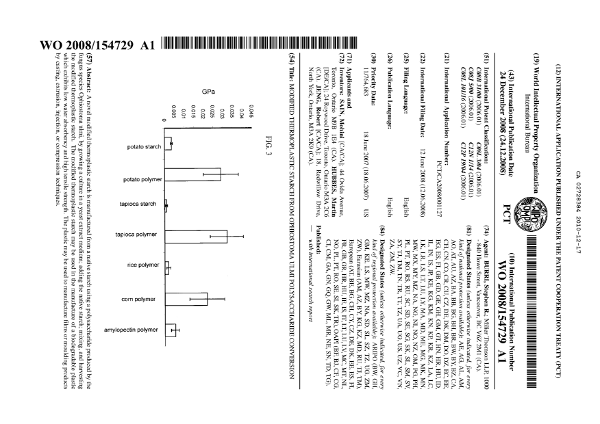 Document de brevet canadien 2728384. Abrégé 20101217. Image 1 de 1