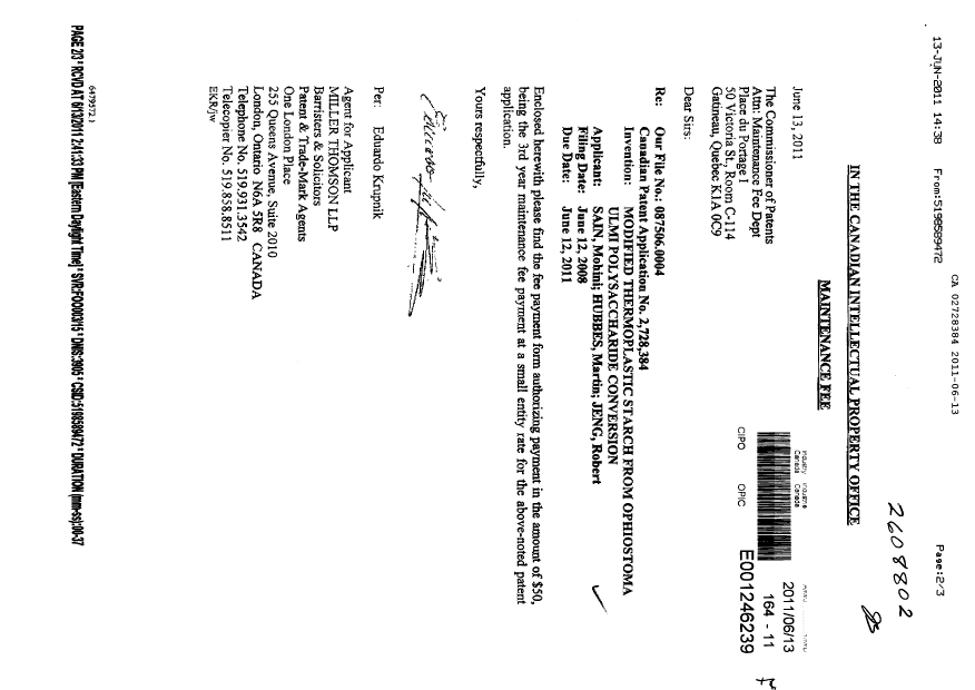 Document de brevet canadien 2728384. Taxes 20110613. Image 1 de 2