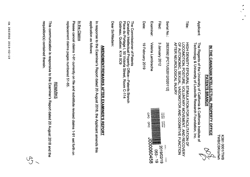 Document de brevet canadien 2823592. Poursuite-Amendment 20181219. Image 1 de 35