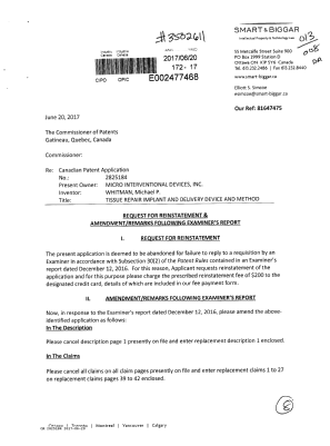 Document de brevet canadien 2825184. Modification 20170620. Image 1 de 8