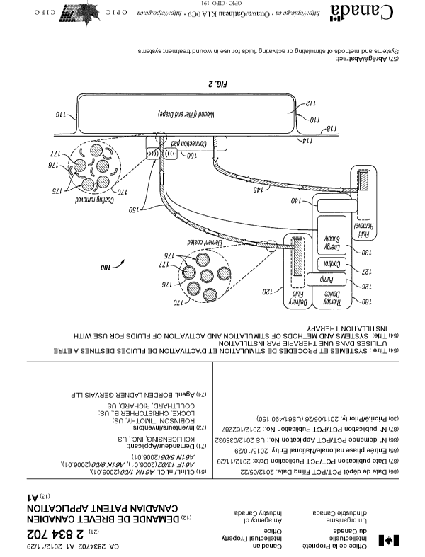 Canadian Patent Document 2834702. Cover Page 20131216. Image 1 of 1