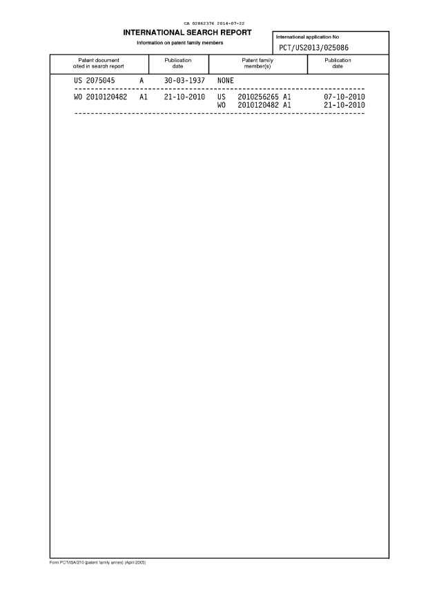 Document de brevet canadien 2862376. PCT 20140722. Image 5 de 5