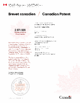 Document de brevet canadien 2871609. Certificat électronique d'octroi 20210420. Image 1 de 1