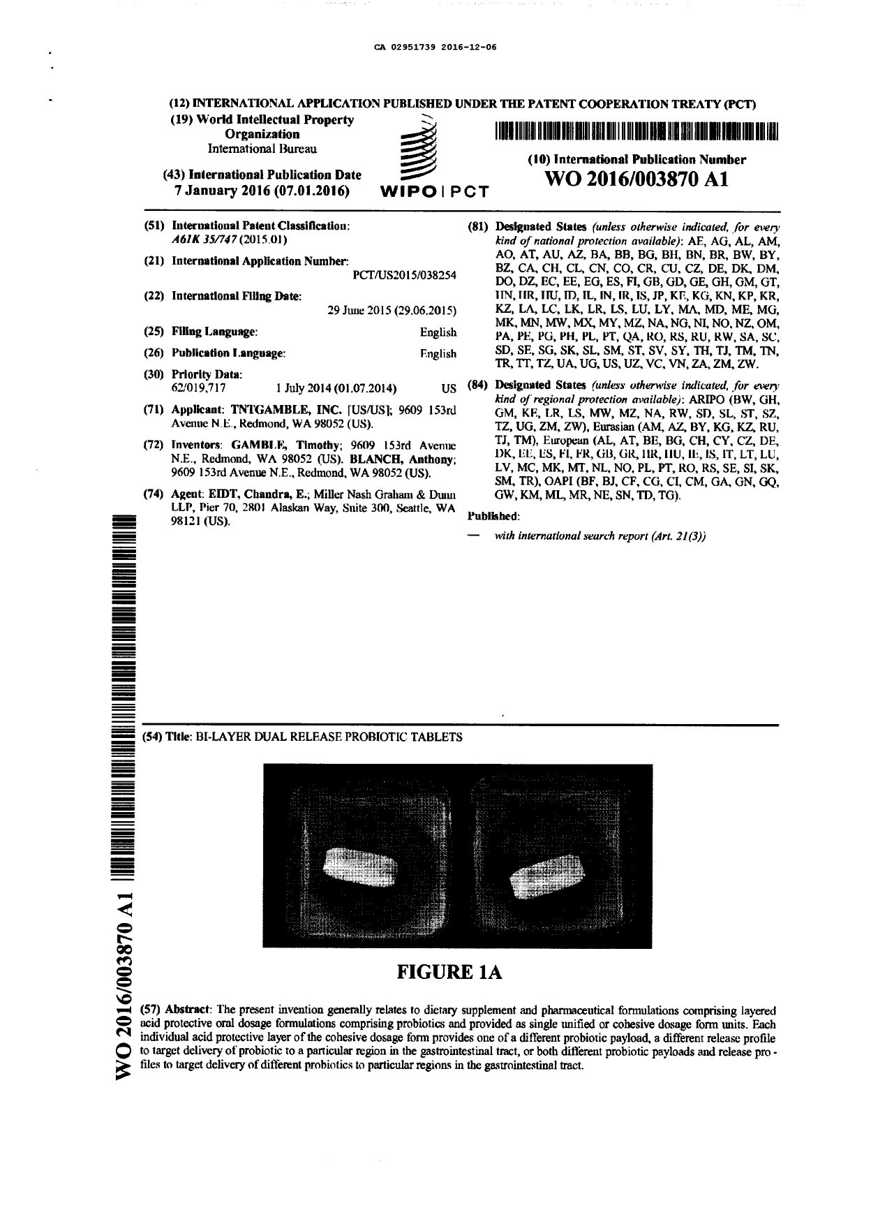 Canadian Patent Document 2951739. PCT 20151206. Image 1 of 1