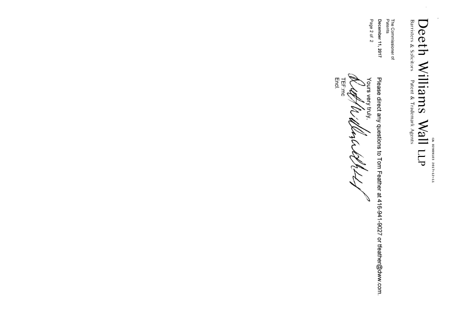 Document de brevet canadien 2989103. Demande d'entrée en phase nationale 20171211. Image 2 de 6