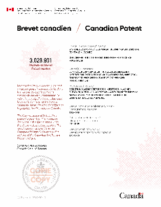 Document de brevet canadien 3028931. Certificat électronique d'octroi 20221213. Image 1 de 1